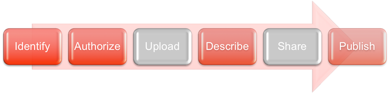 review_process